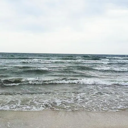 Blue Moon * Năvodari