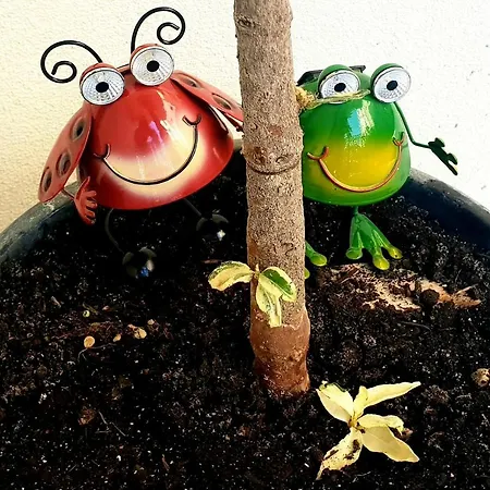 דירה Blue Moon Năvodari