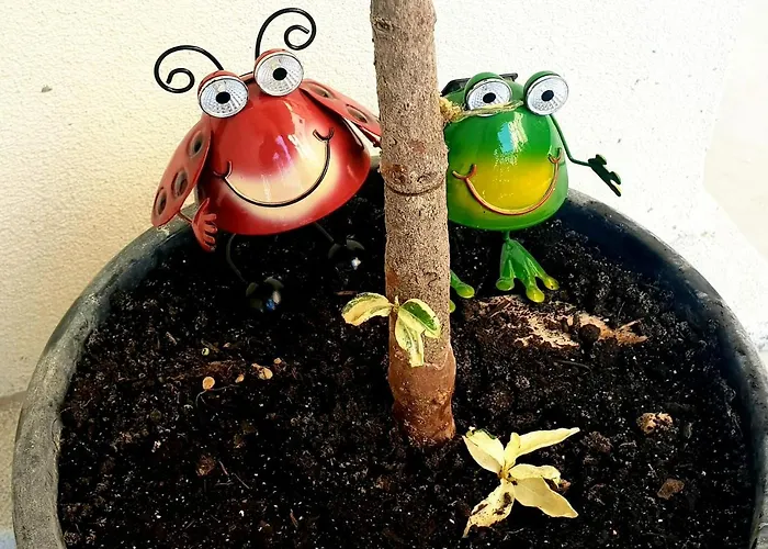 Апартаменты Blue Moon Нэводари